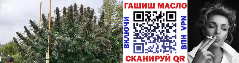 ТГК концентрат Нытва