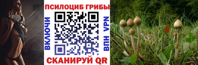 Псилоцибиновые грибы прущие грибы  где продают наркотики  Нытва 